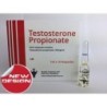 1000 x Amps Testosterone Propionate £2.4 per amp